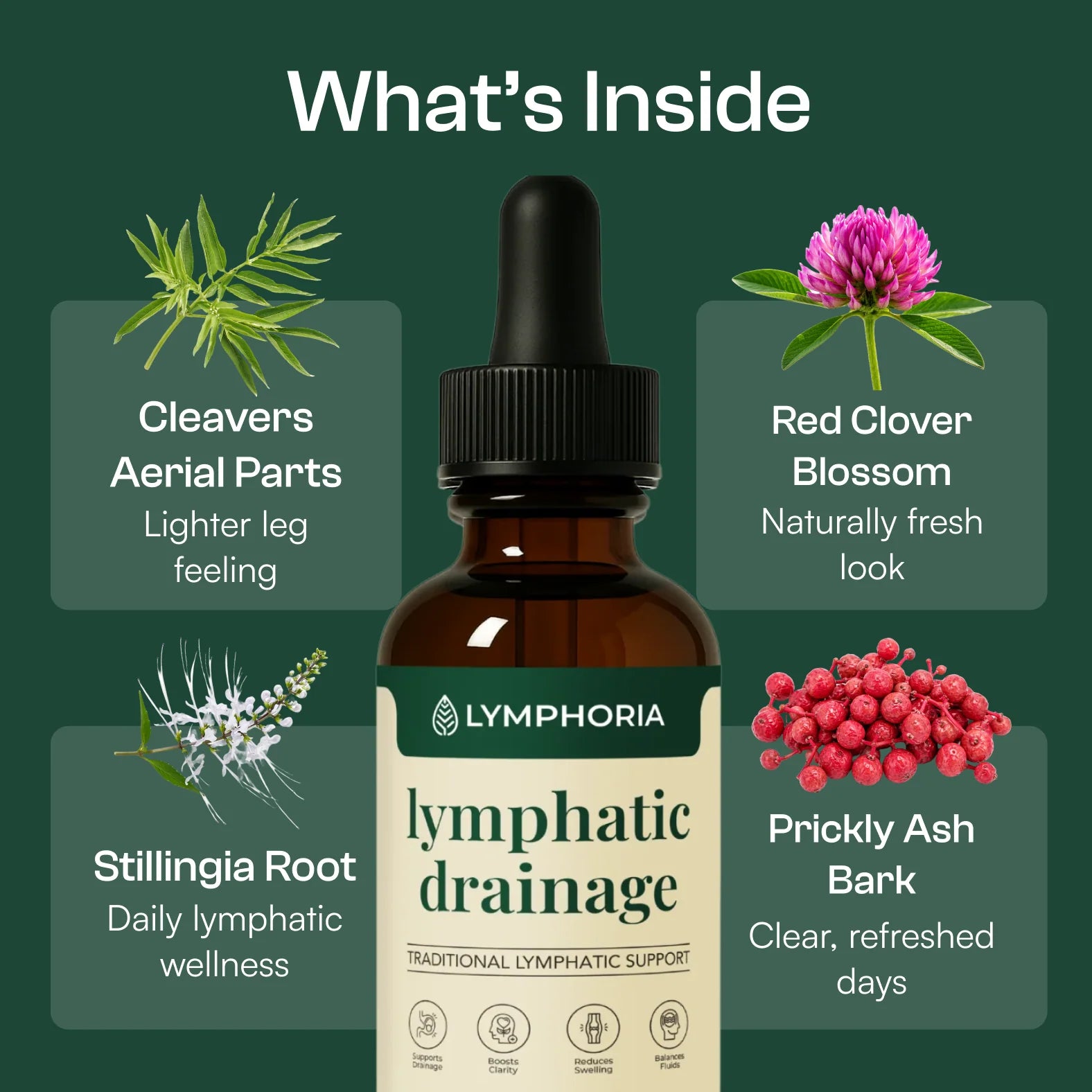 Lymphoria Lymphatic Drainage Drops